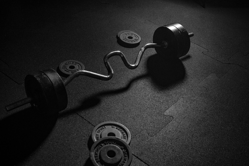 Bicep and Upper Body Training